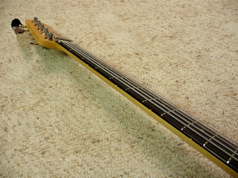 vics_lg5_11.jpg