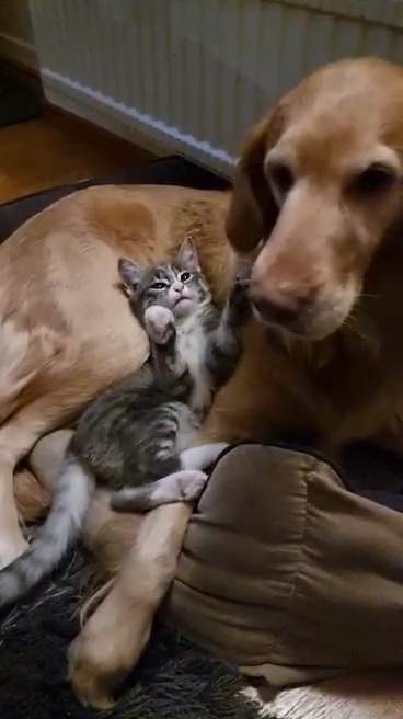 VideoCapture_20211213-193307.jpg