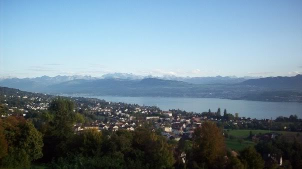 view.jpg