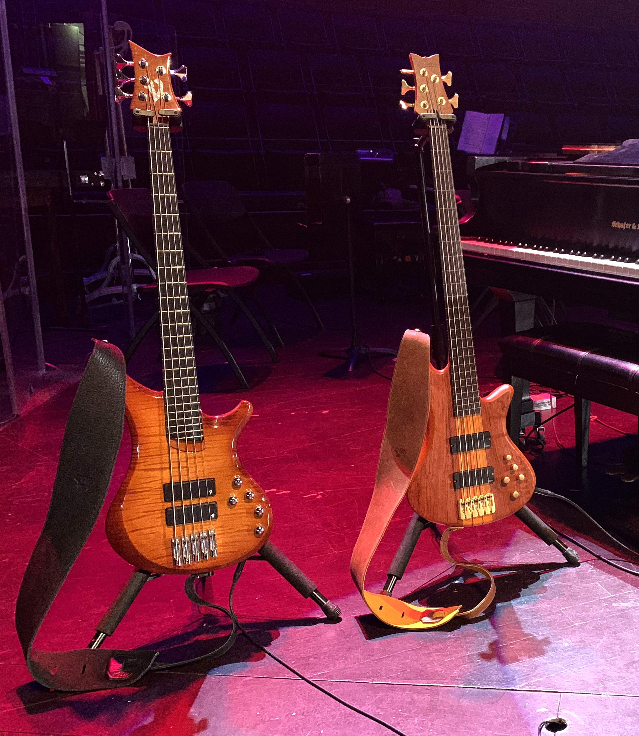 Vigier-Schecter.jpg