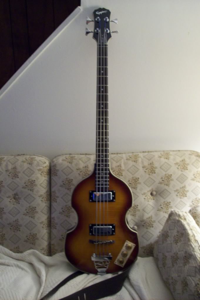 viola.jpg