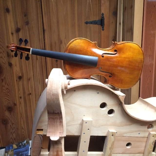 Viola with bass front.JPG