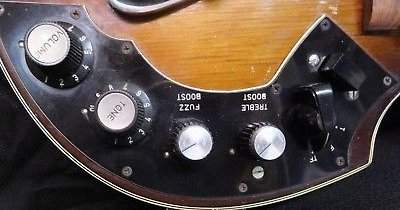 violin guitar controls.jpg