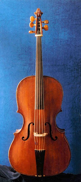 violoncello-piccolo.jpg