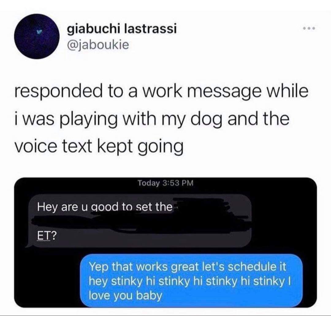 voice text pet.jpg