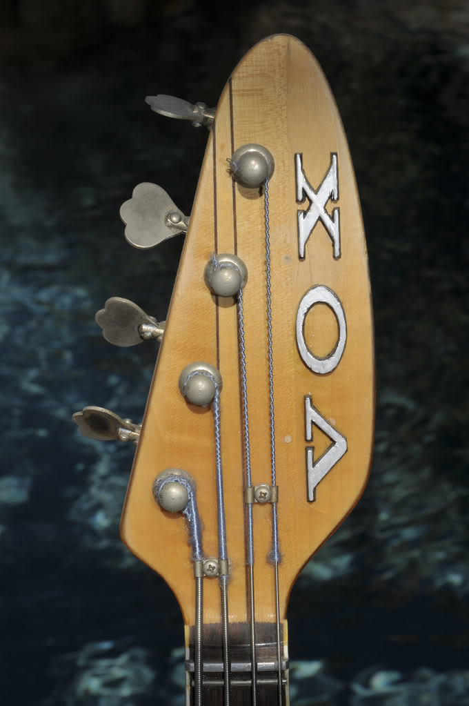 voxheadstock.jpg