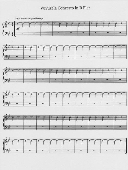 vuvu1concerto.jpg