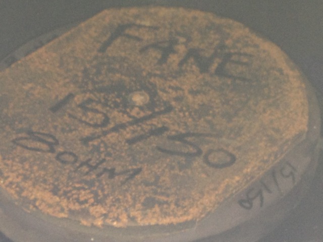 w6yqf9.jpg