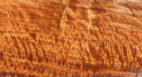W_figuredclaroCalifornia-blackwalnut.jpg