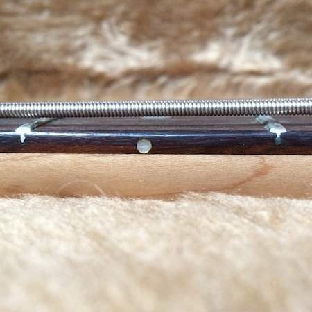 Wal fret 3.JPG