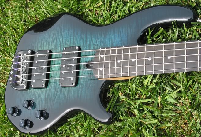 wal_teal_body.jpg