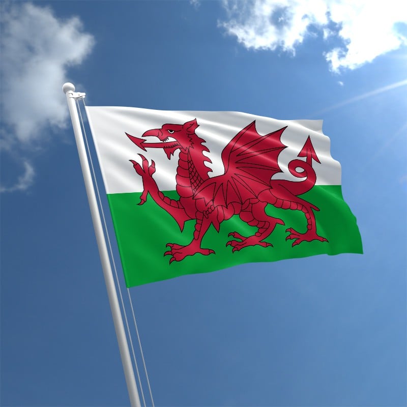 wales-flag-std.jpg
