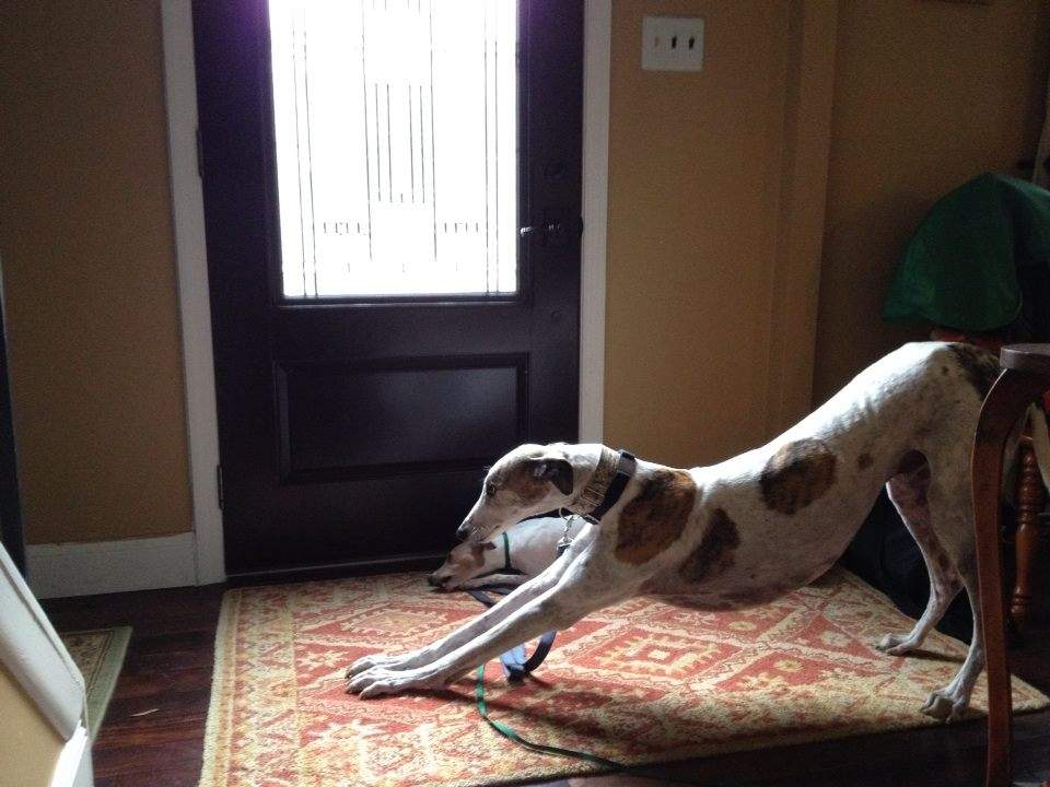 Walkie.jpg