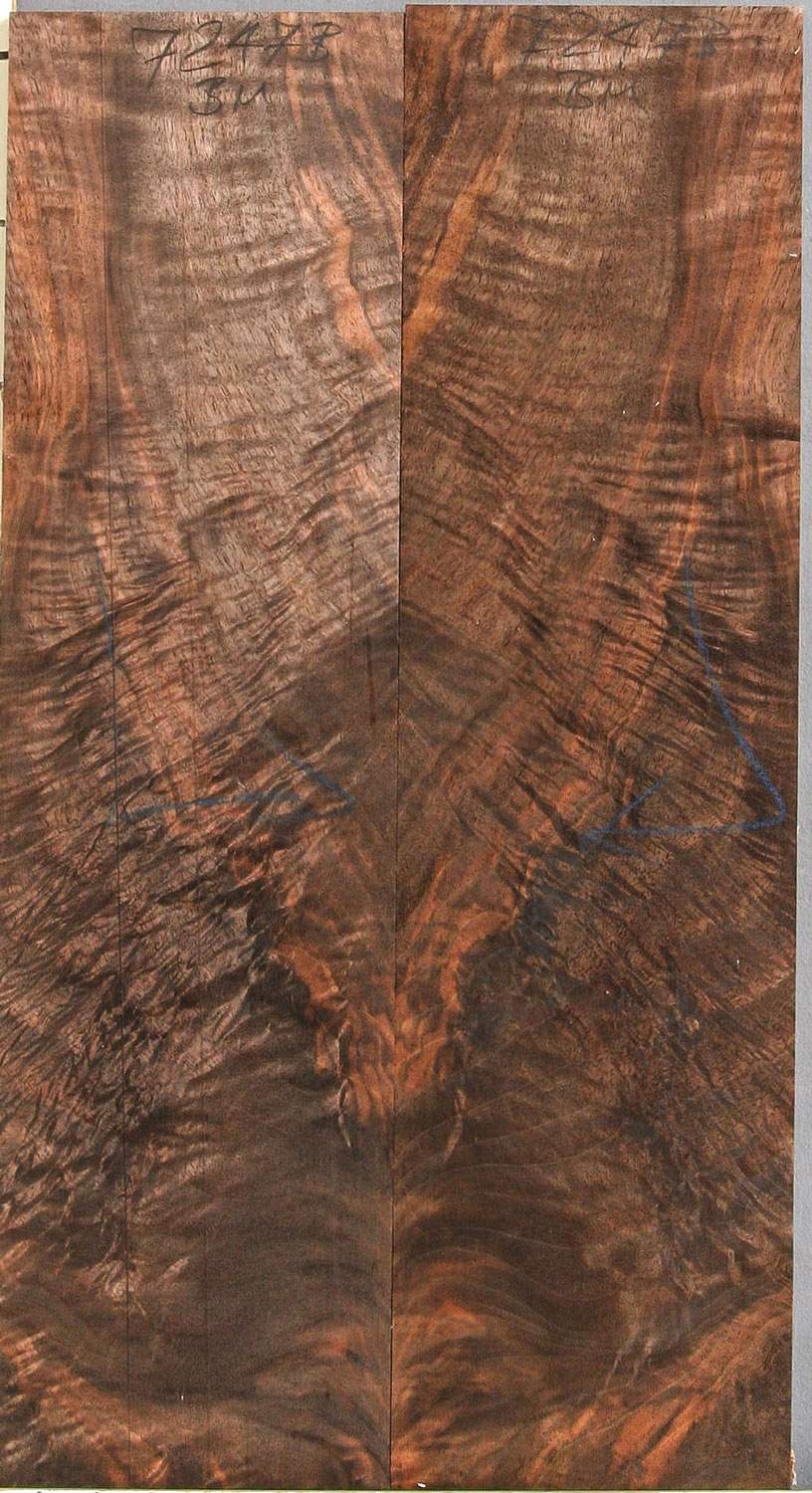 walnut-7247b.jpg