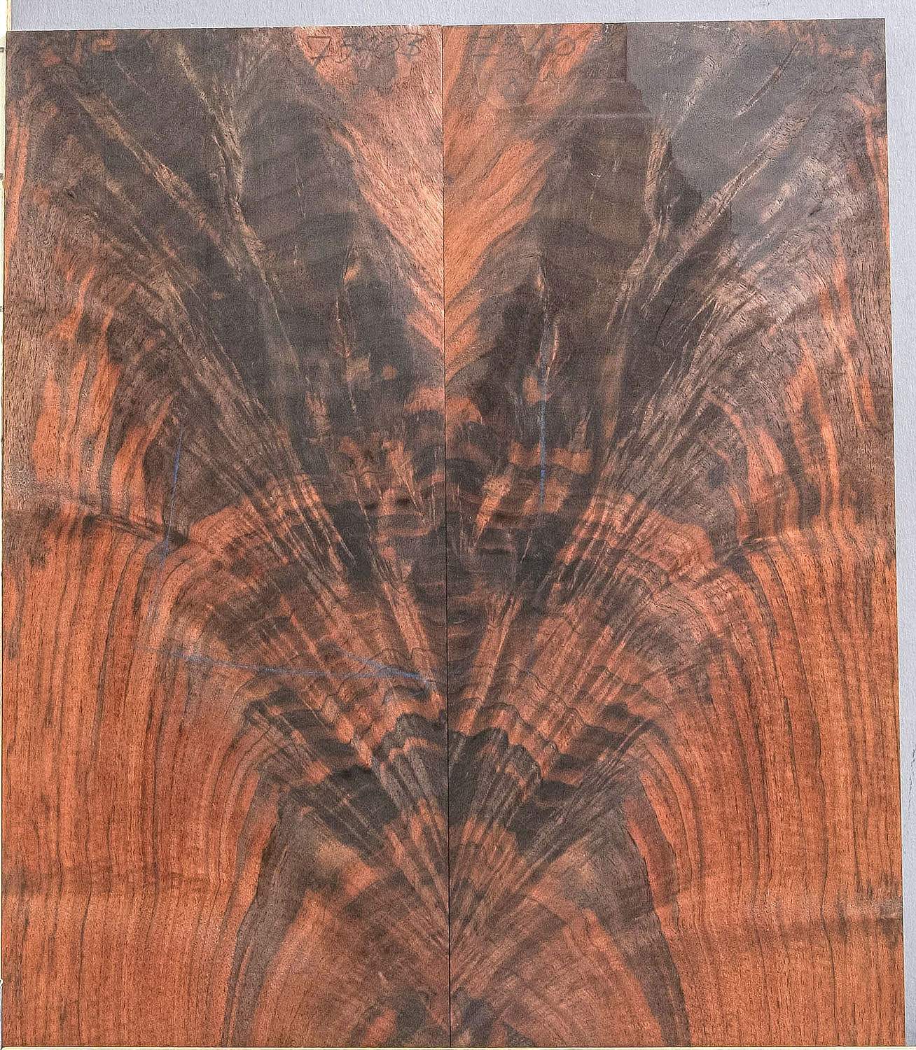 walnut-7540b.jpg