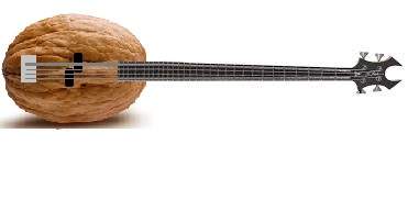 Walnut Bass.jpg