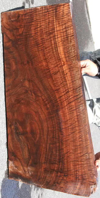 walnut1.jpg