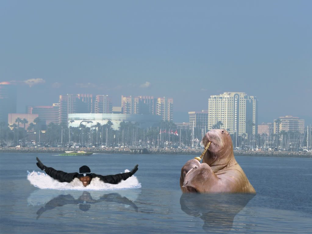 walrus.jpg