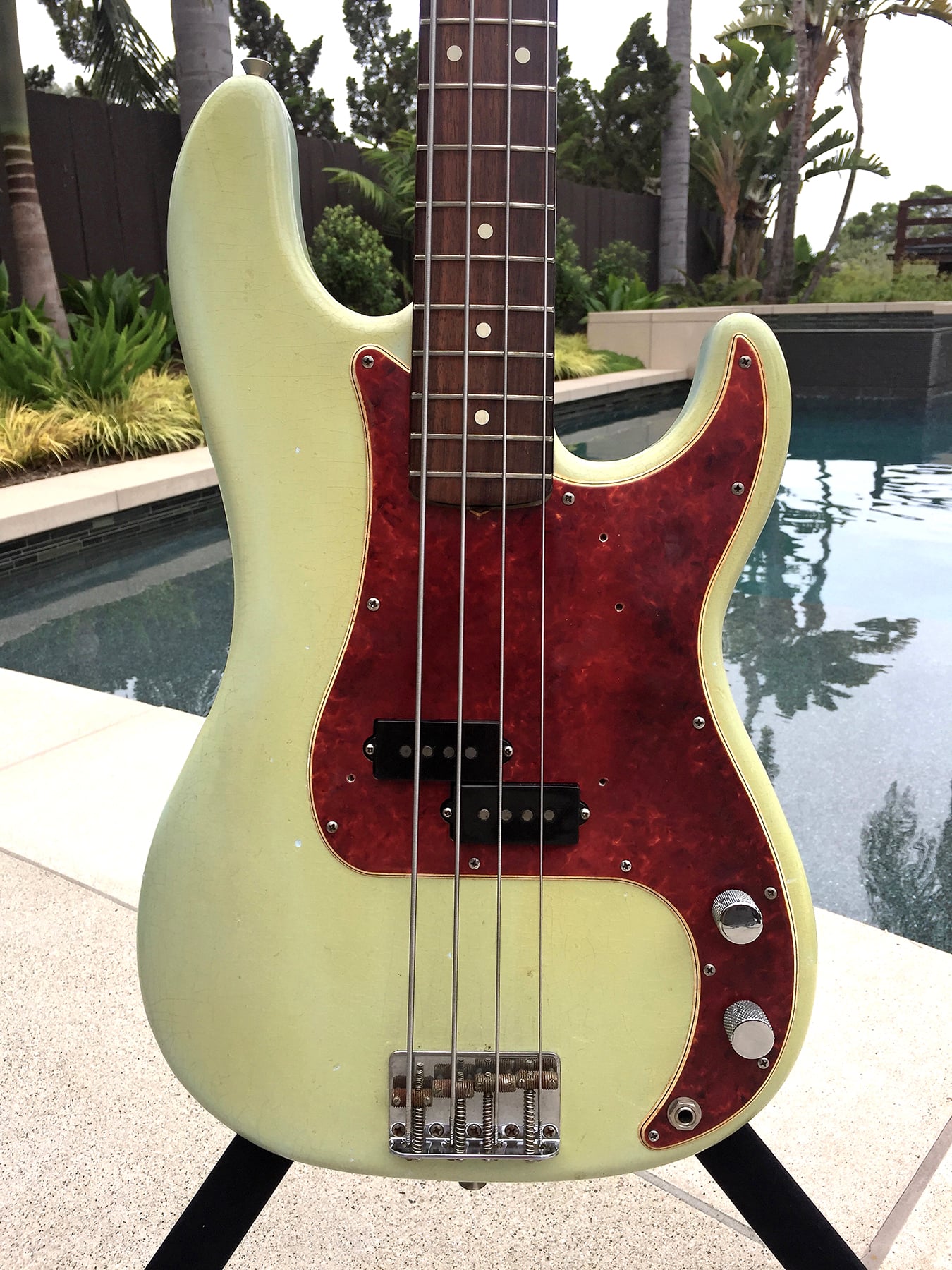 warmoth P body w tortoise pg.jpeg