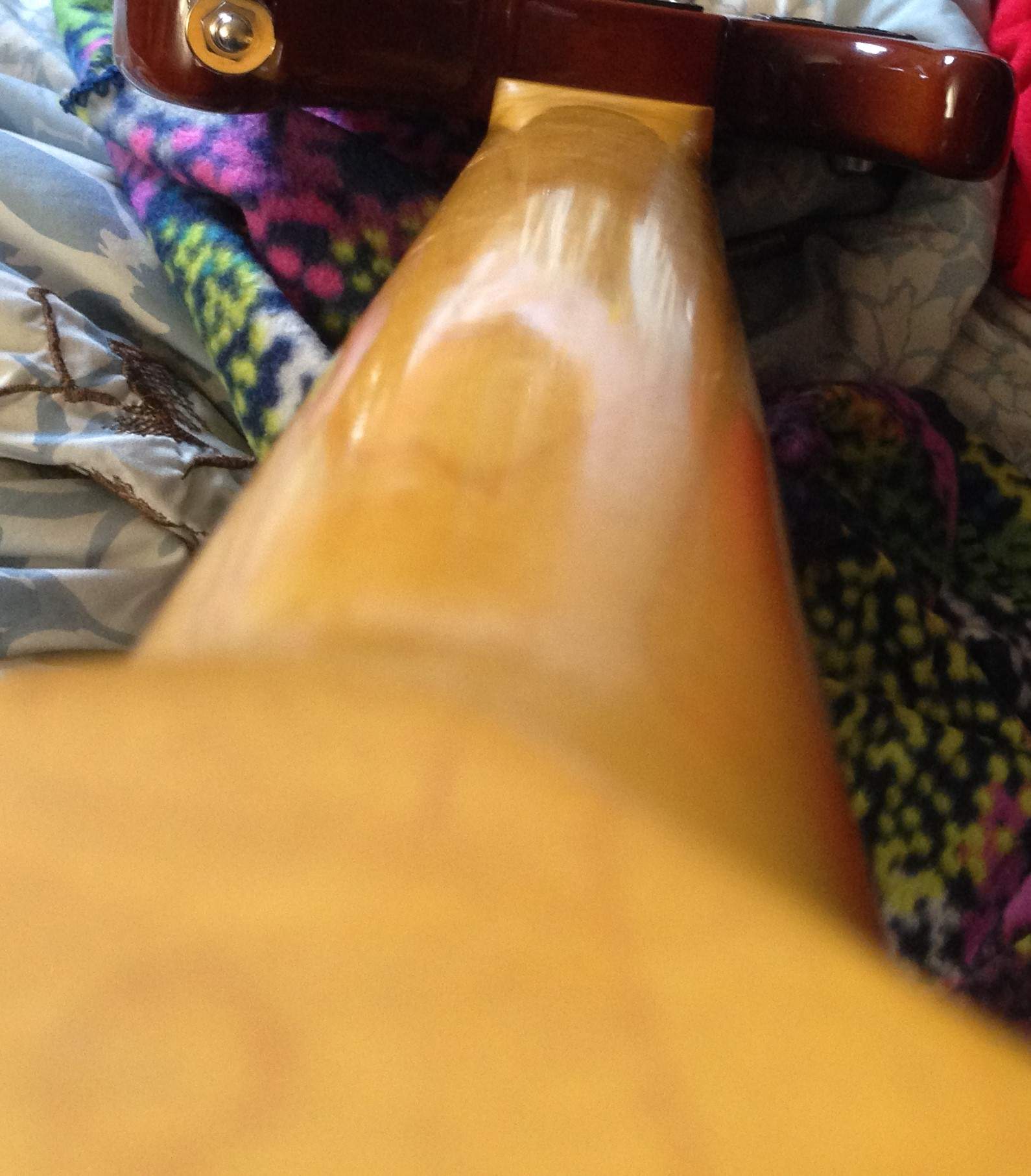 warmoth5neckback.jpg