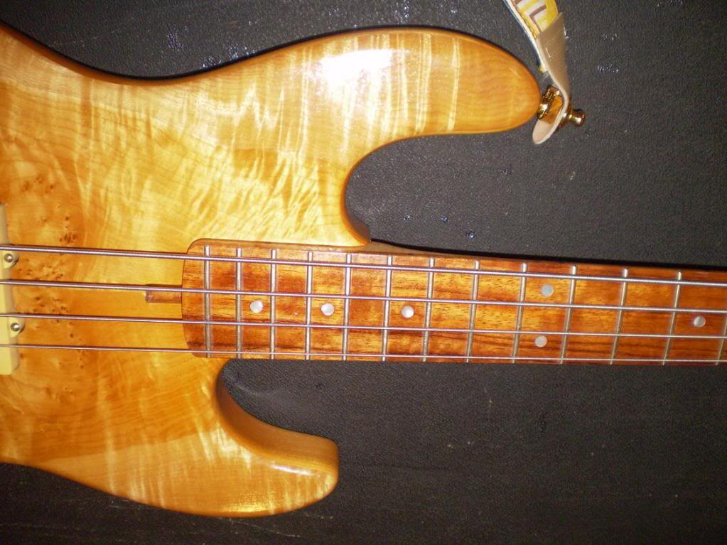warmwildmaple3.jpg