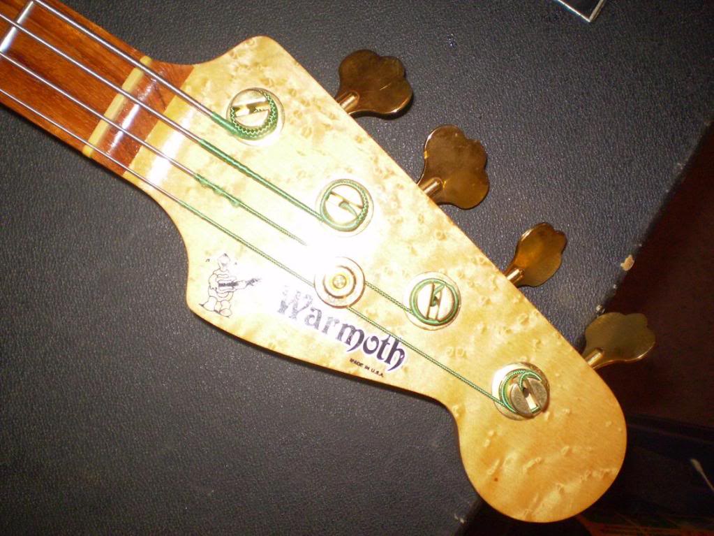 warmwildmaple4.jpg