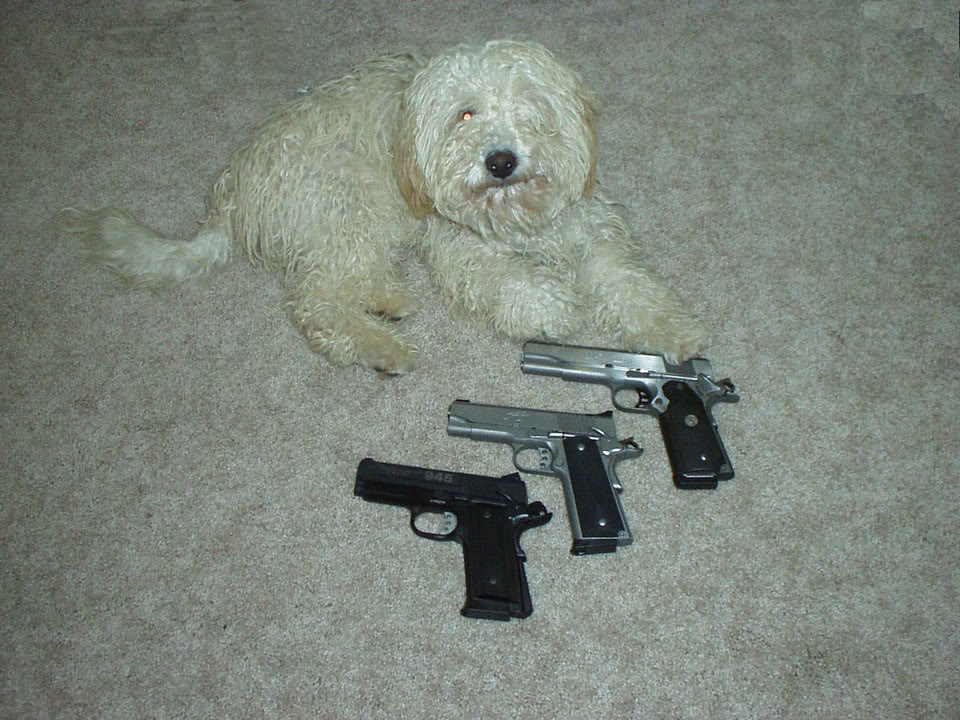 warren1911.jpg
