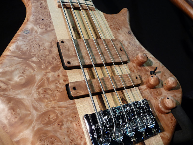 warrior_namm10_02.jpg