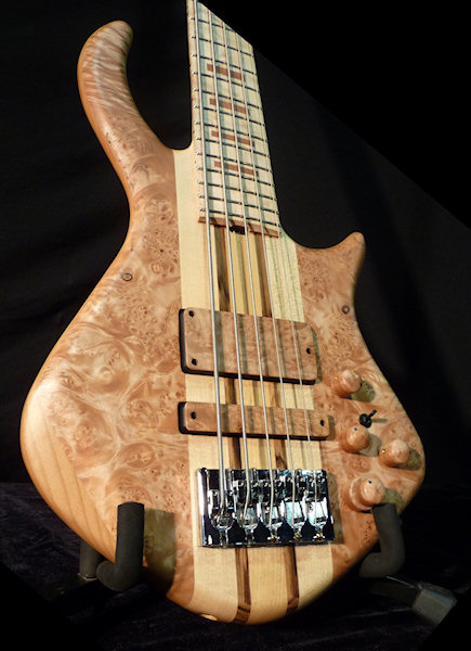 warrior_namm10_03.jpg