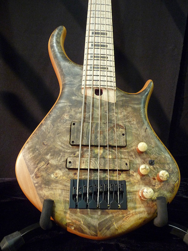 warrior_namm10_06.jpg