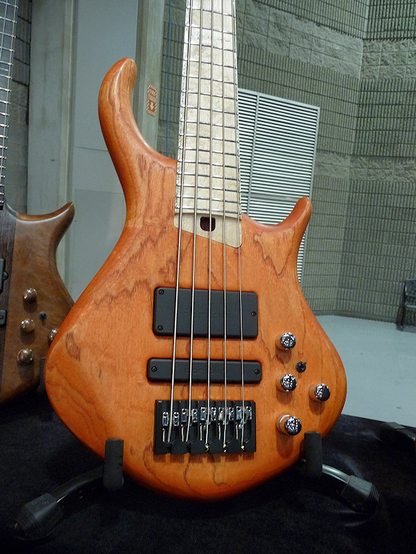 warrior_namm10_08.jpg