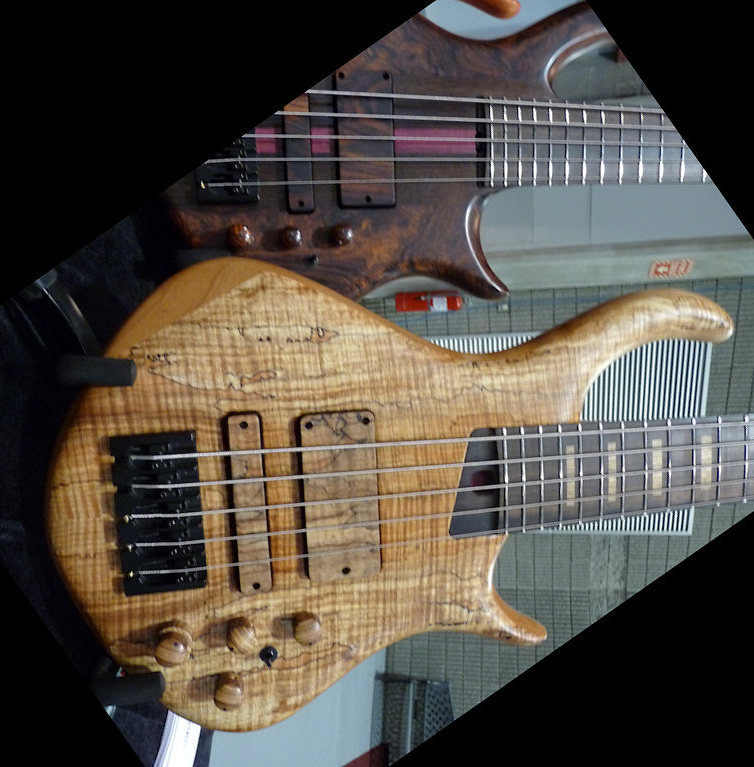 warrior_namm10_10.jpg
