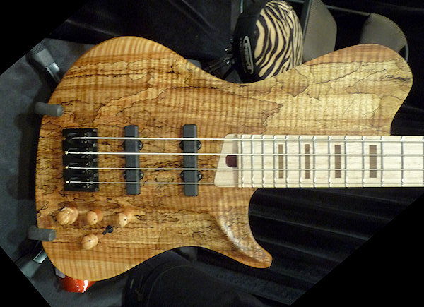 warrior_namm10_14.jpg