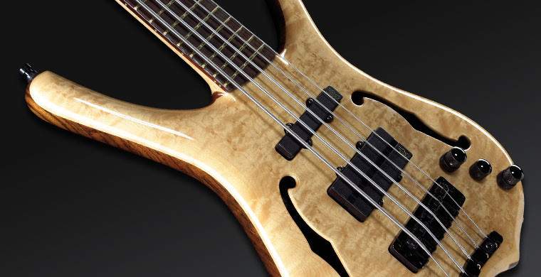 warwick-infinity-nt-birdseye-maple-5-183242.jpg