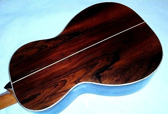 Washburn (back).jpg