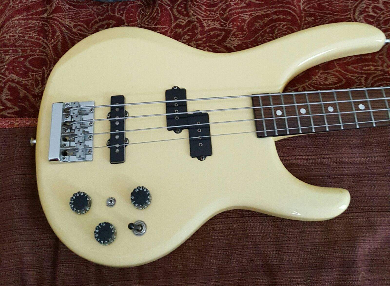 Washburn1.jpg