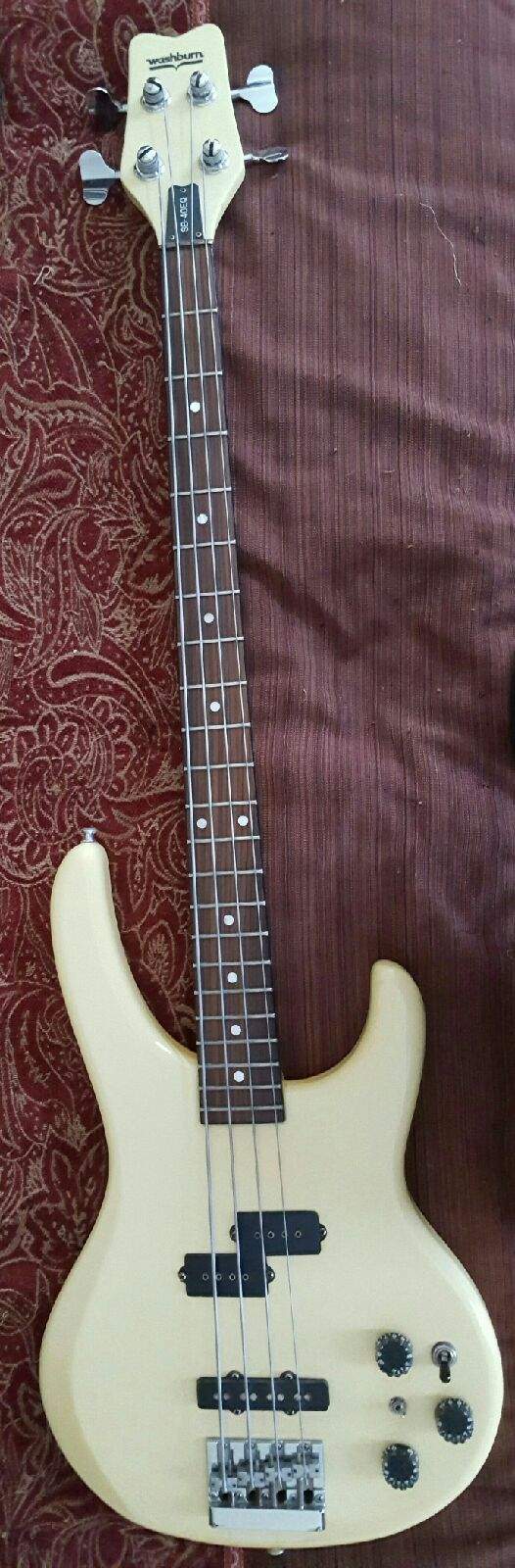 Washburn4.jpg