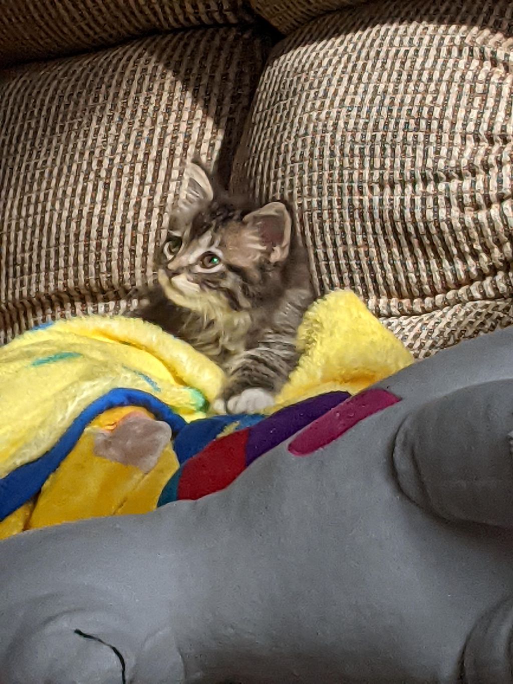 Watching tv.jpg