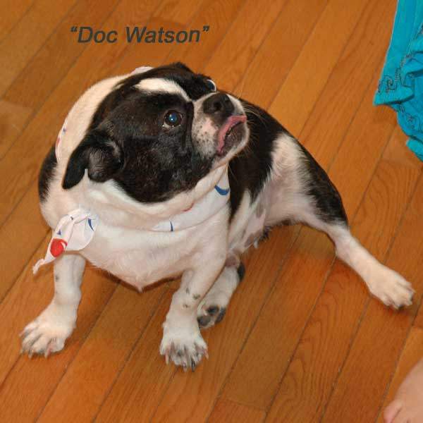 Watson.jpg