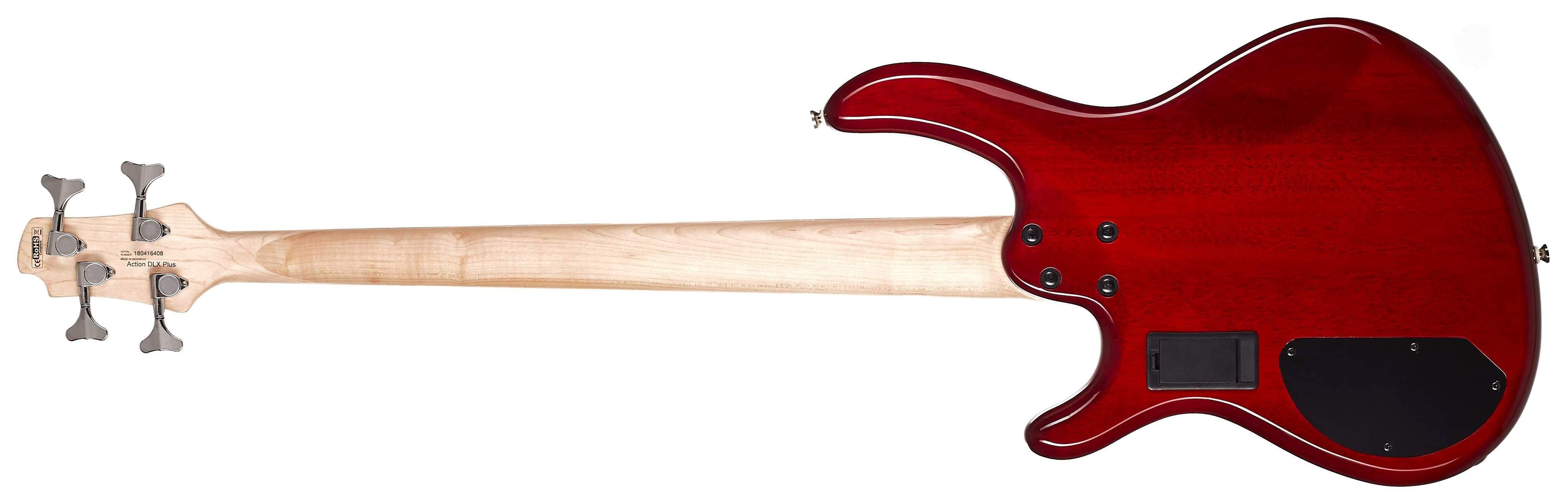 web CRS Cort bass C.jpg