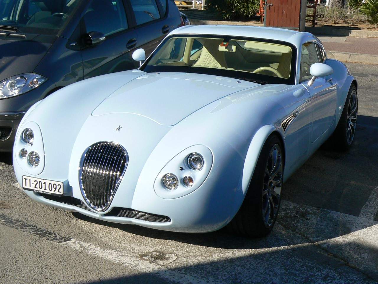 Weismann1.jpg