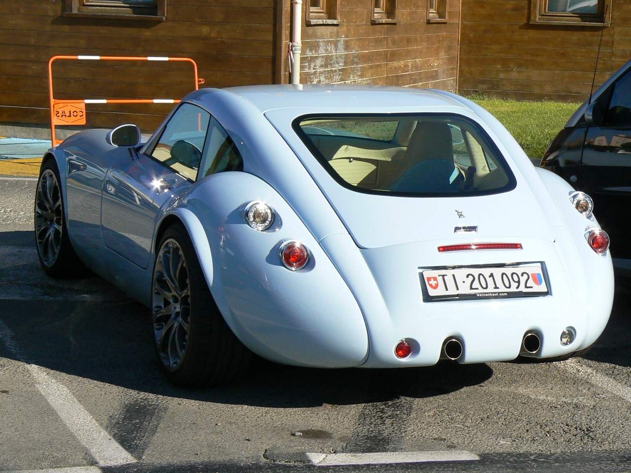 Weismann3.jpg