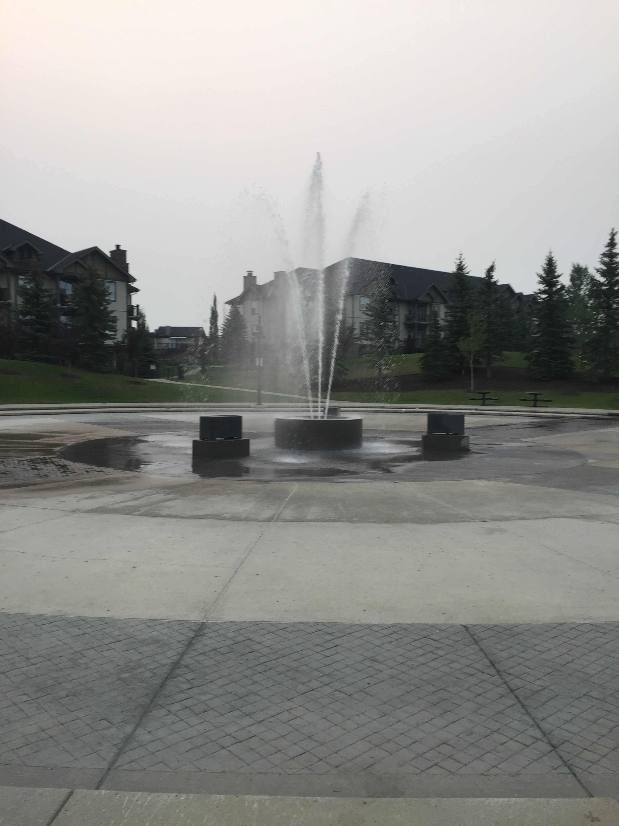 wElPy5.jpg