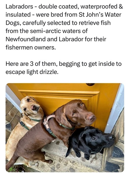 wet Labs.jpg