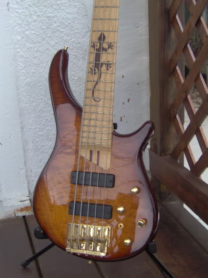 wgeckco2.jpg