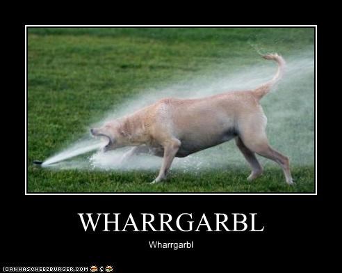 wharrgarbl.jpg