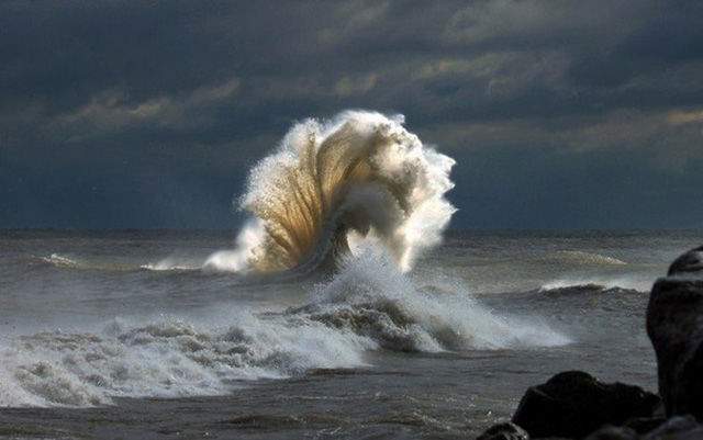 what a wave.jpg