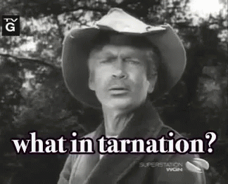what-in-tarnation.gif