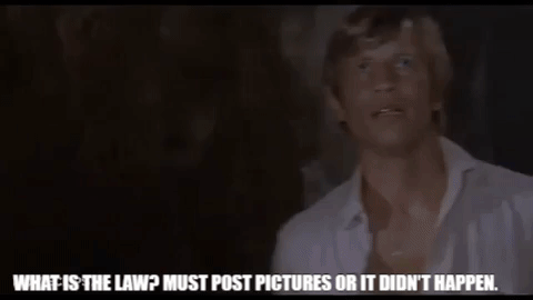 whatisthelaw.gif