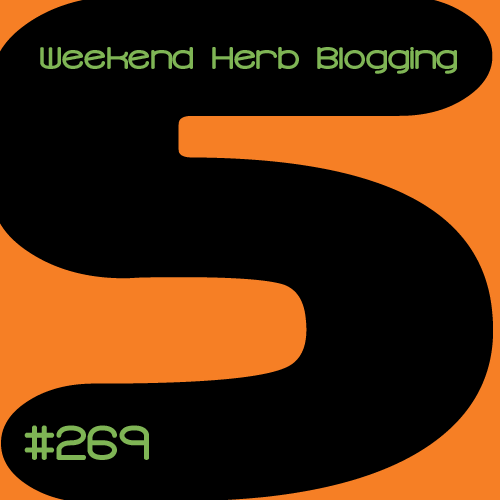 whb269.png